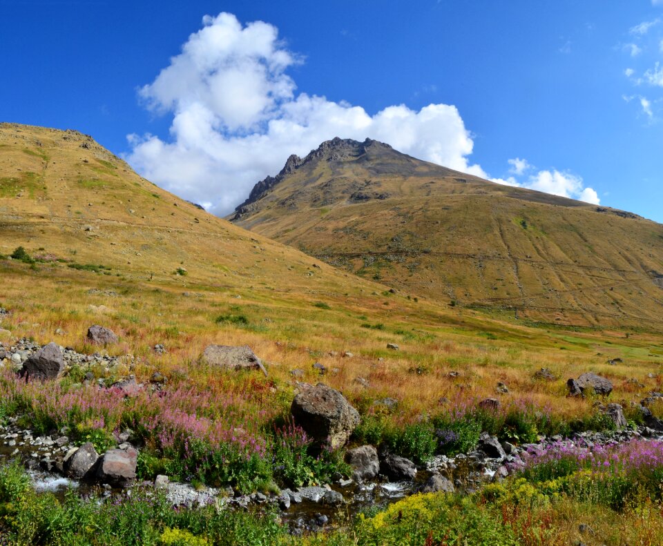 Landscape green mountains
