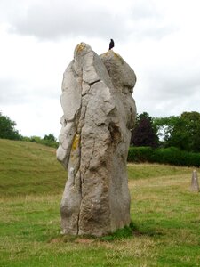 Bird pierre avebury