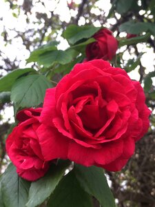 Spring summer colour