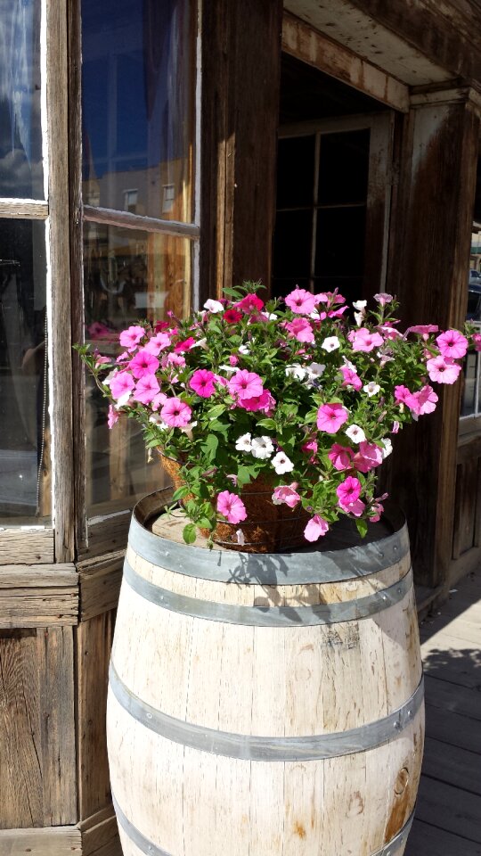 Porch rustic vintage