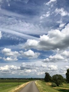 Landscape blue trees photo