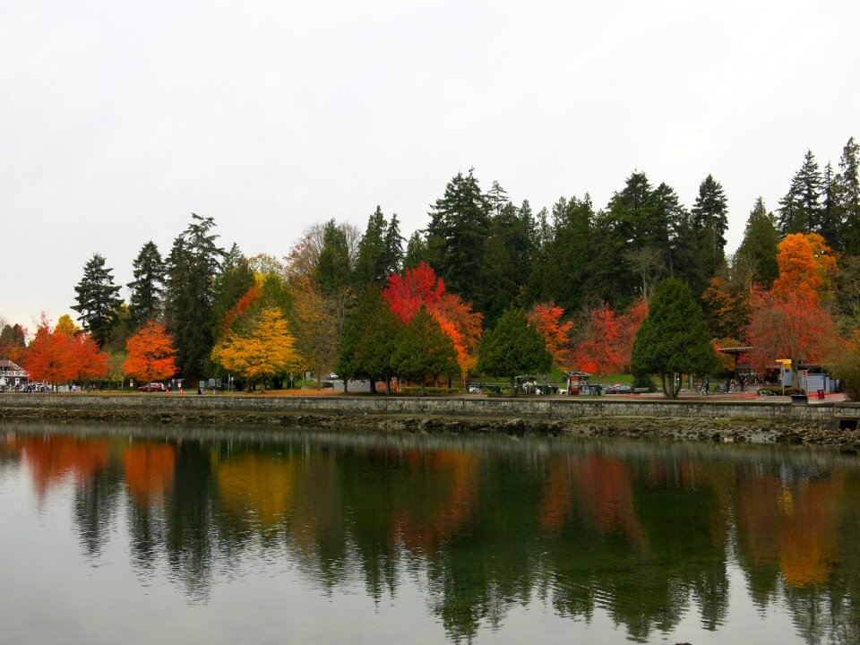 Nature canada forest