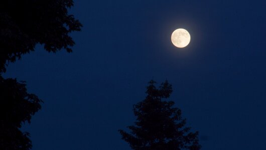 Full moon evening sky romantic photo