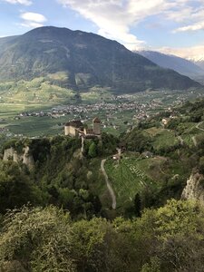 Tirolo south tyrol castle tyrol photo