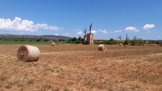 Ferriol mallorca farm