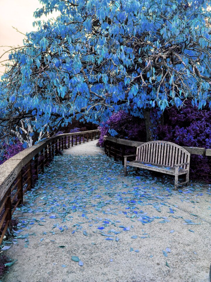 Nature outdoor