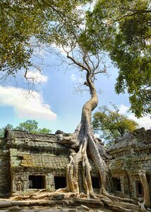 Wat tourism architecture photo