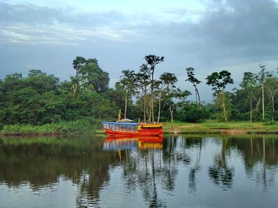 Jungle river dawn