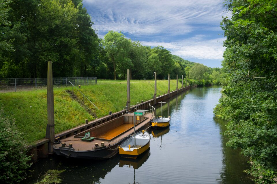 Trees tranquility boats