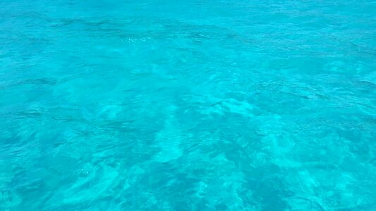 Coral reefs blue sea sea