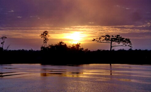 Jungle river dawn photo
