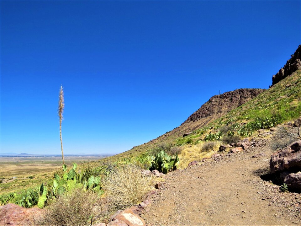 Desert landscape