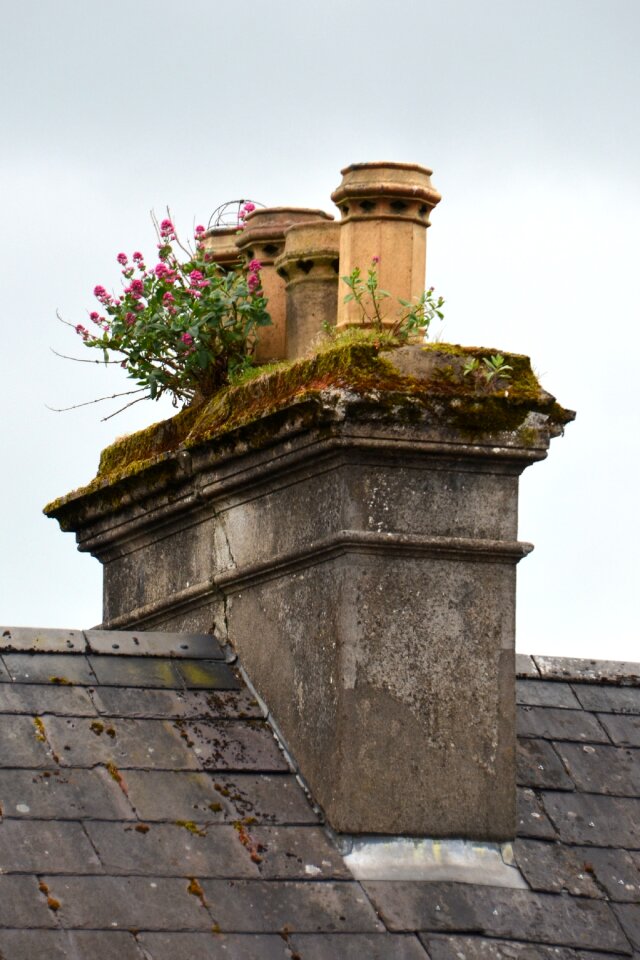 Chimney old roof photo