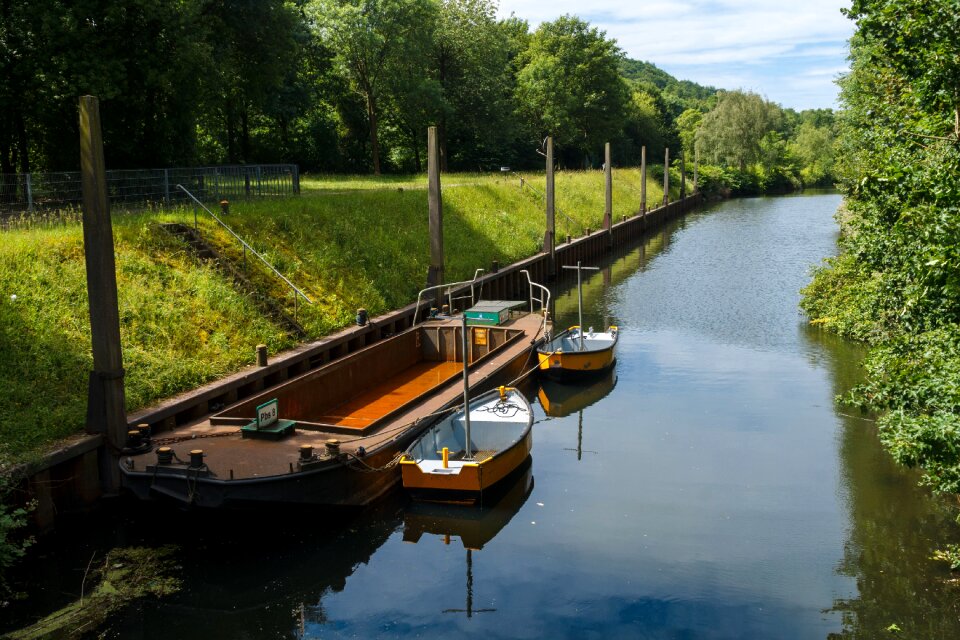 Trees tranquility boats