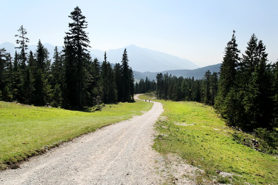 Forest environment travel