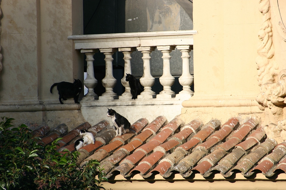 Balcony sitting tiles