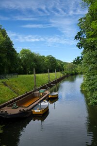 Trees tranquility boats