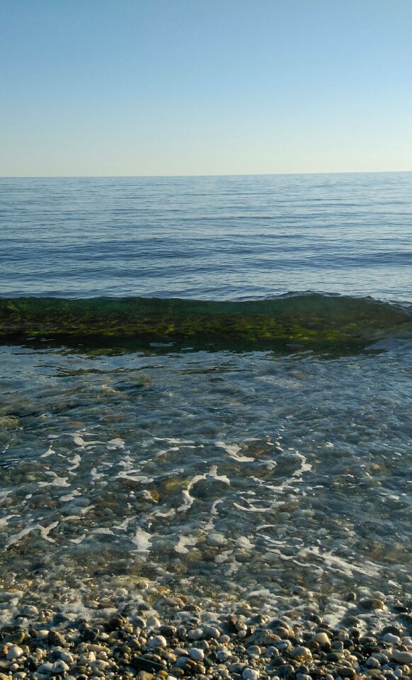Blue costa tide