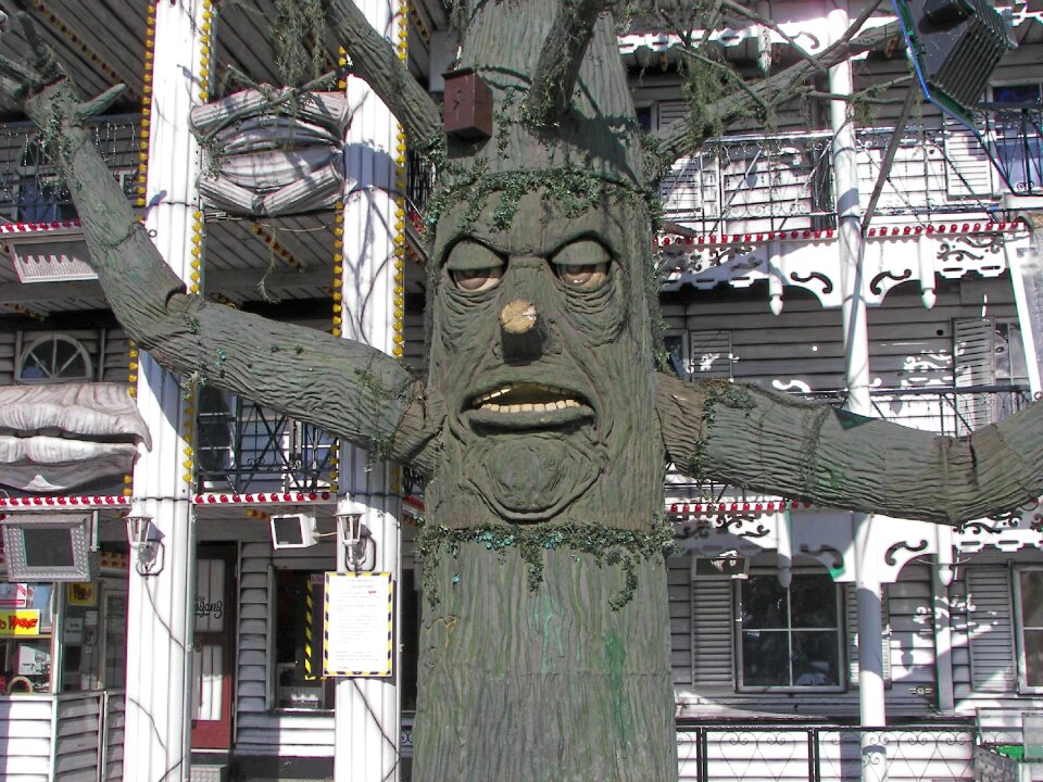 Hamburger dom hamburgensien tree