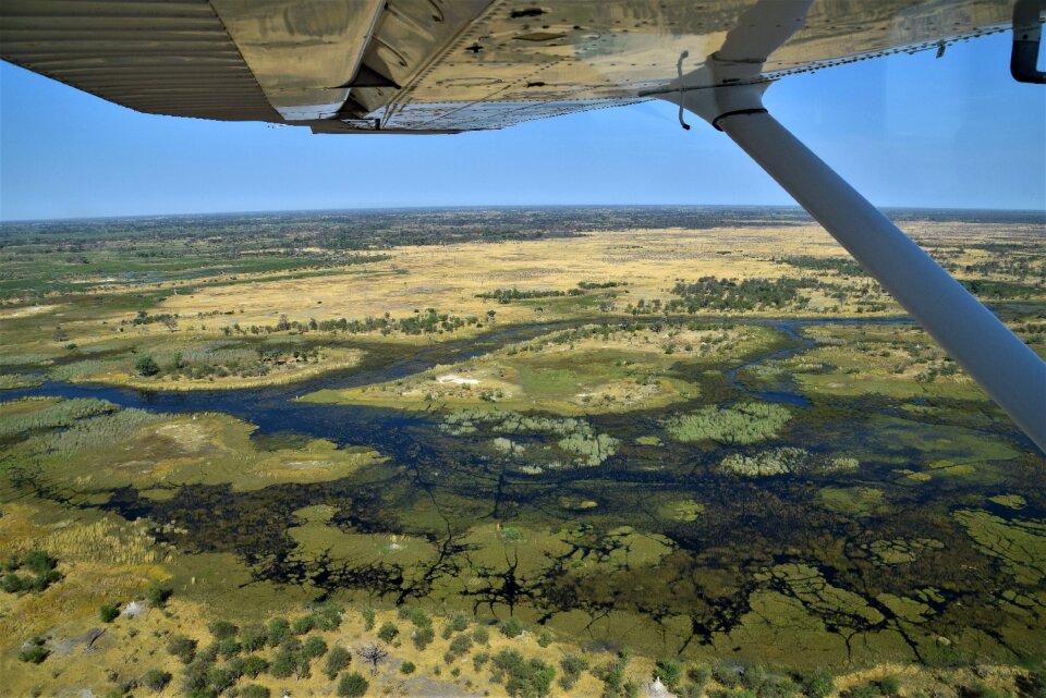 Okavango delta maun