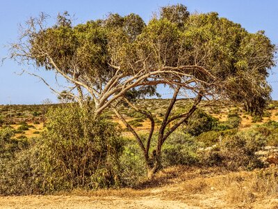 Summer cavo greko cyprus photo