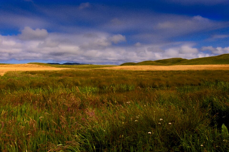 West marin northern california