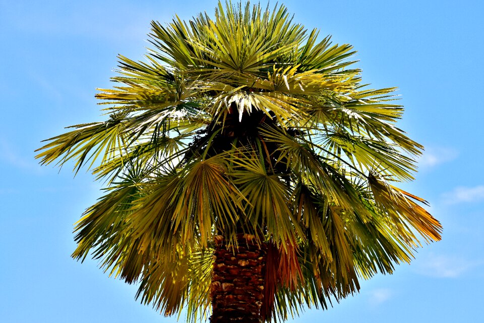 Summer feeling vacations sky