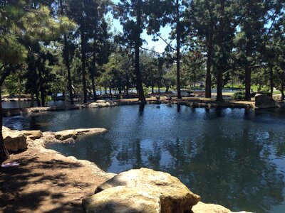 California outdoors