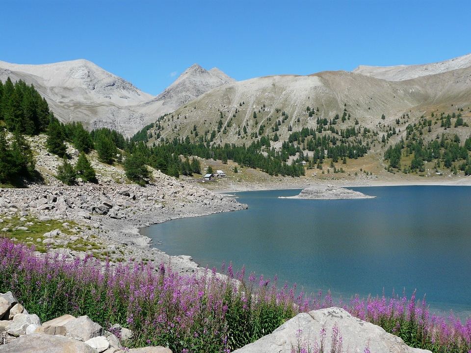 Nature landscape alps