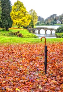 Uk autumn landscape