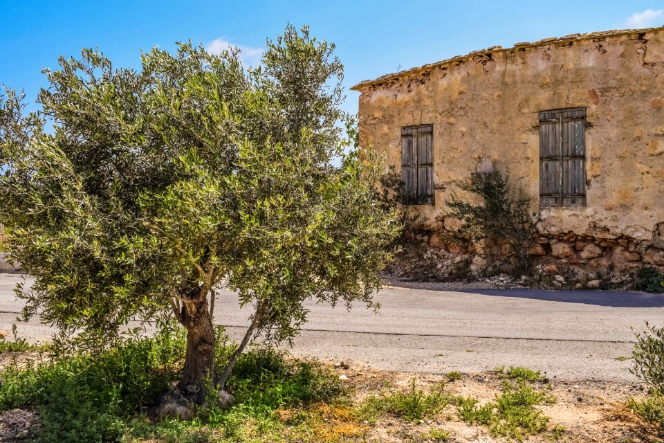 Aged weathered decay