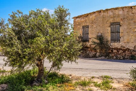 Aged weathered decay