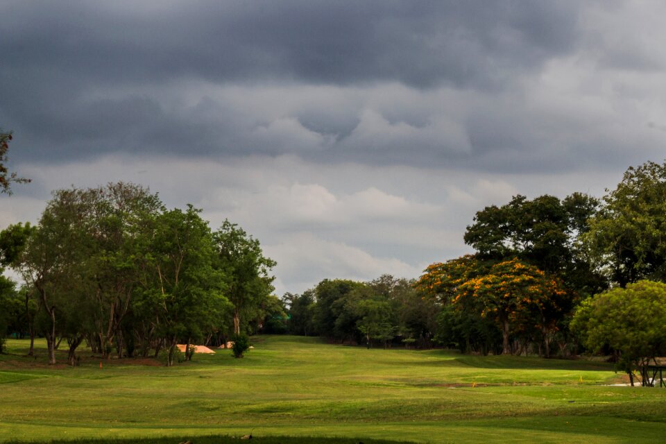 Golf course green sport