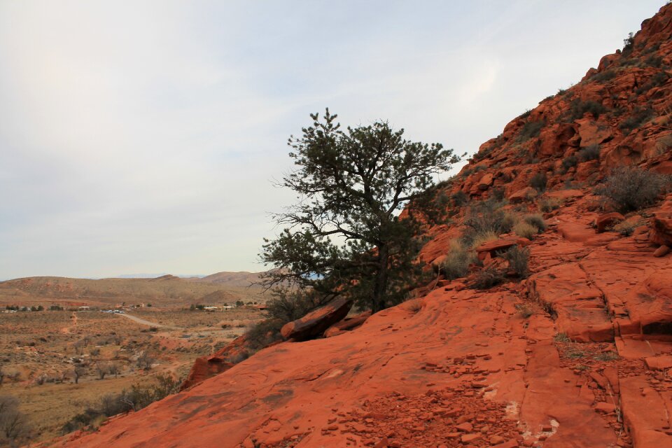 Nevada canyon rock