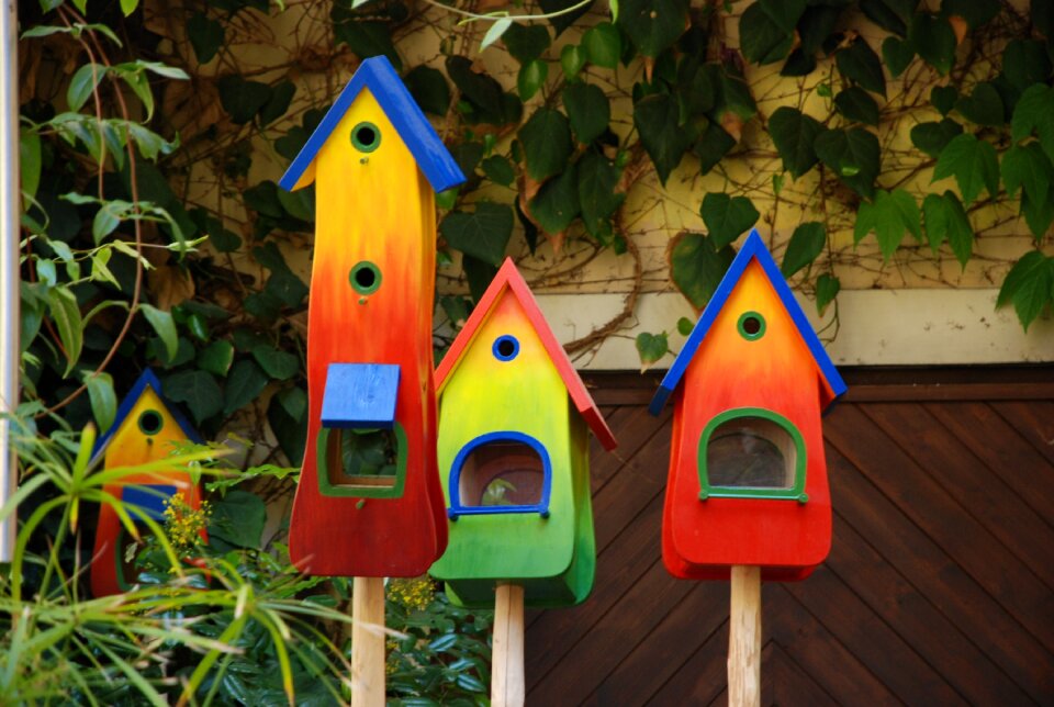 Nesting box colored color