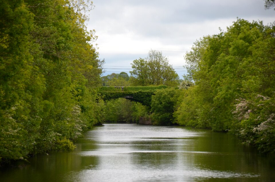 Bridge river nature