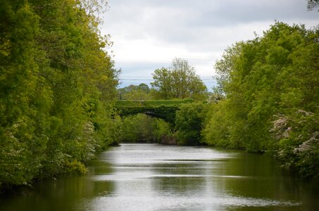 Bridge river nature