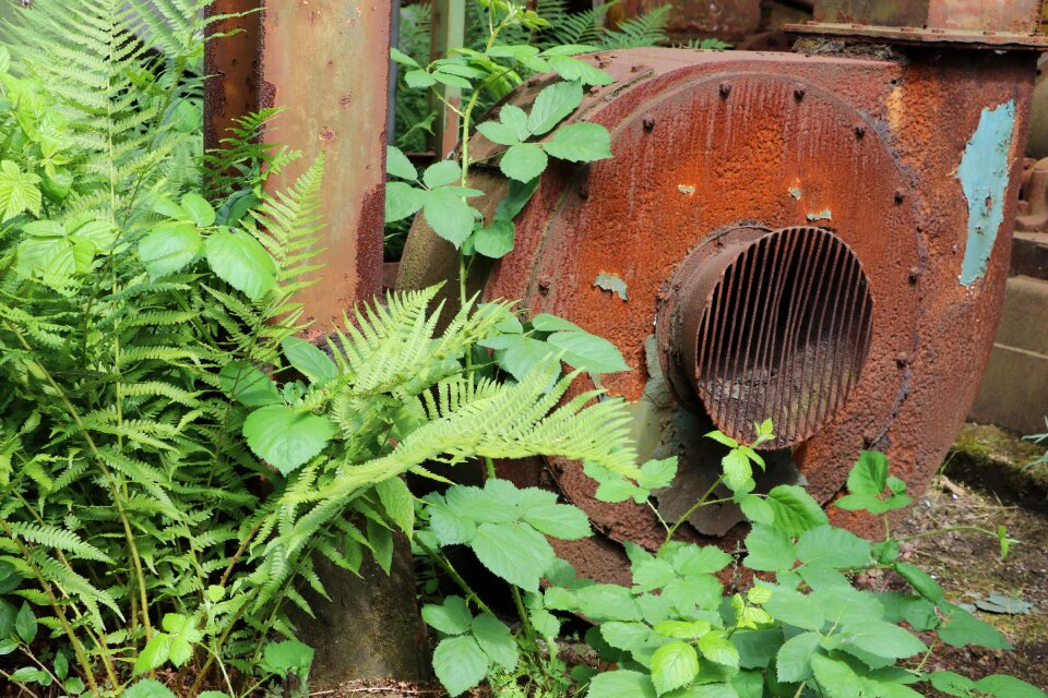 Decay factory industry