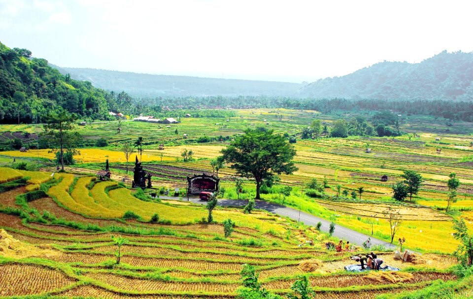 Harvest volcanoes landscape