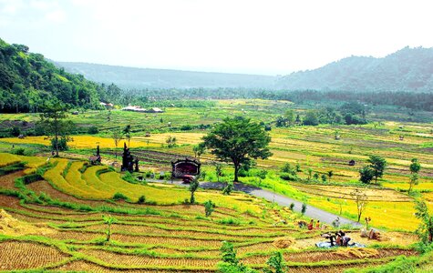 Harvest volcanoes landscape