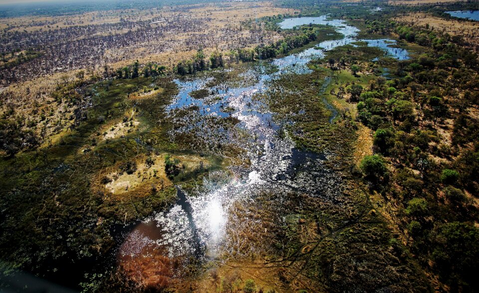 Okavango delta maun