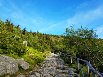 Hiking trails nature mountain trekking photo