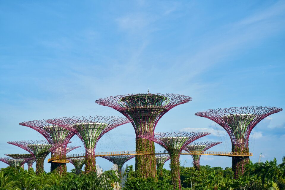 Color image garden trees photo