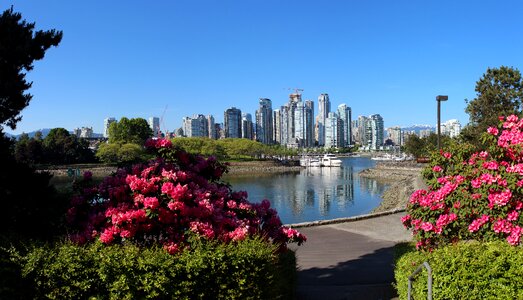 Cityscape canada city photo