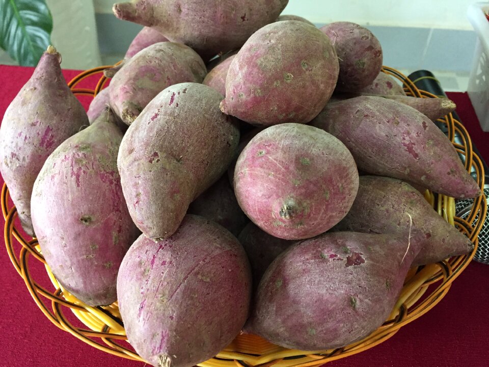 Binh tan purple sweet potato japanese sweet potatoes