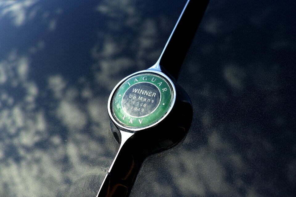 Jaguar green black