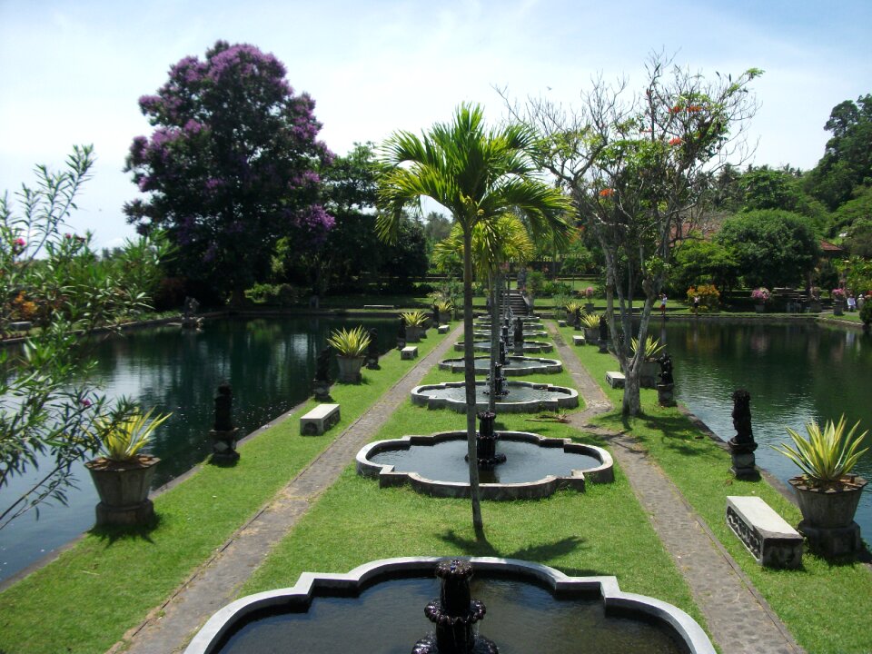 Garden nature tree