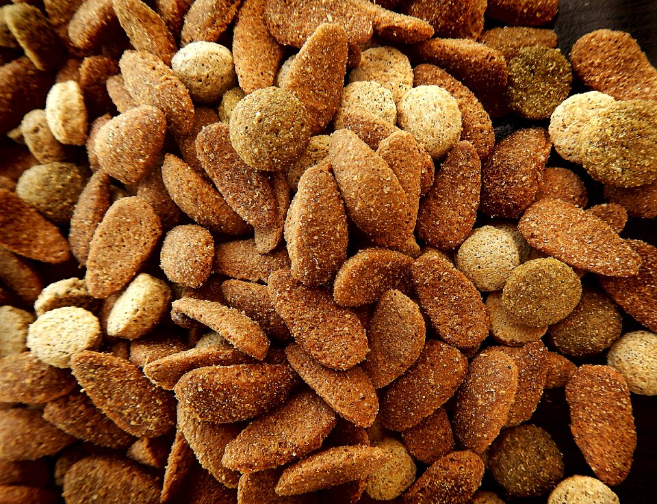 Pet puppy pet food