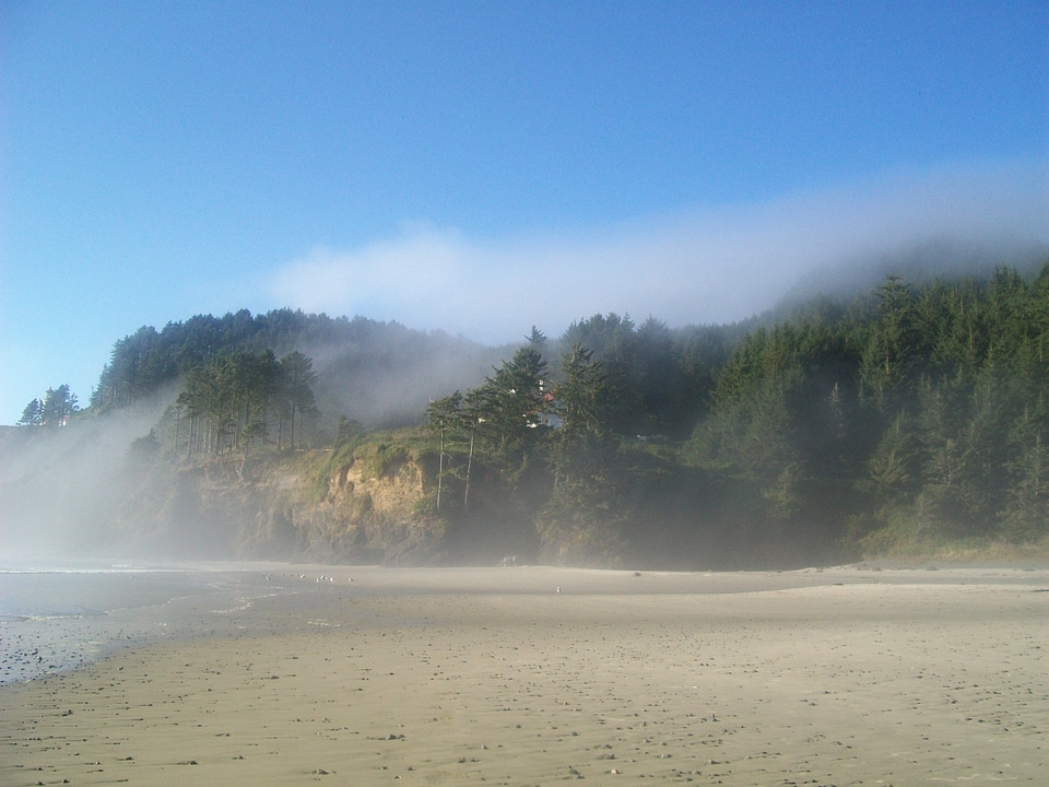 Ocean sea beach