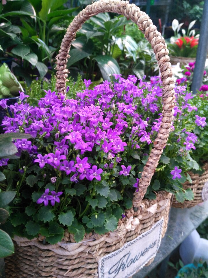 Flower sun woven rattan